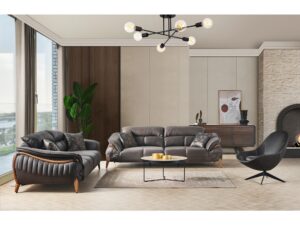 Class Koltuk Takımı